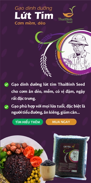 Dân Việt Media
